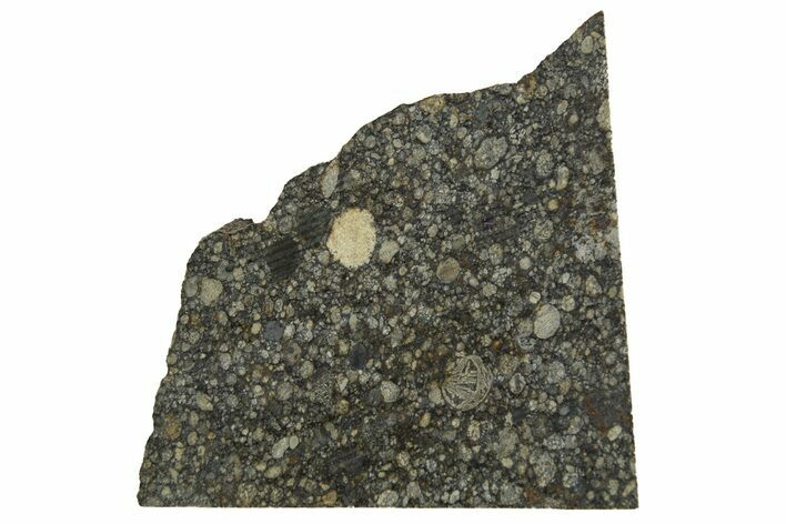 Aba Panu Chondrite Meteorite ( g) Slice - Witnessed Fall! #307258